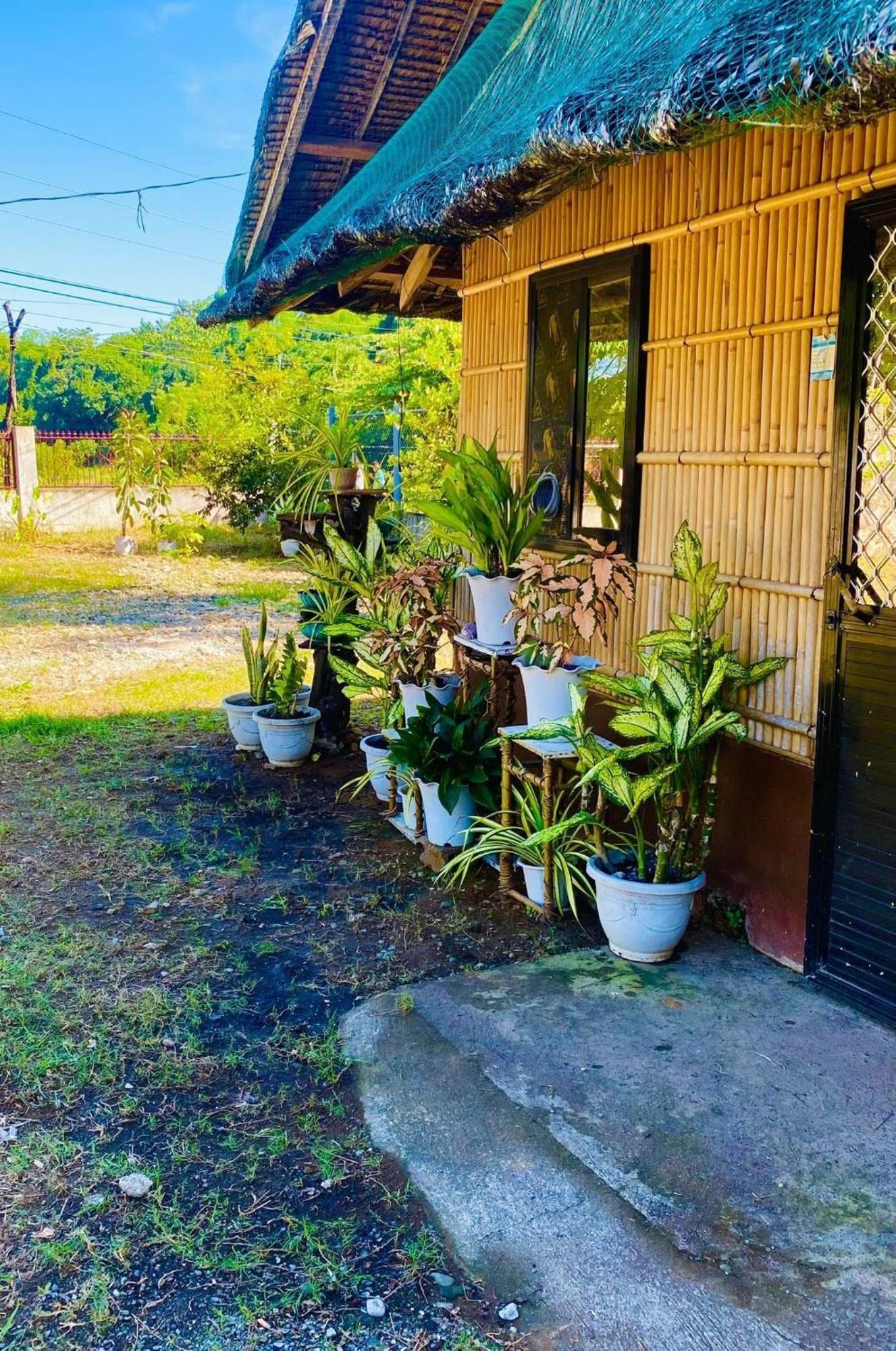 Casa De Flores Alaminos Exterior foto